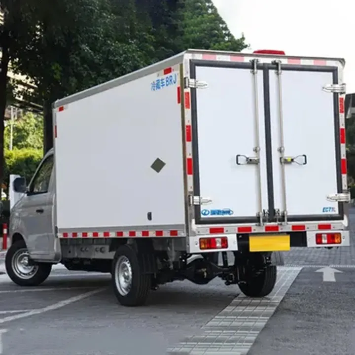 Ruichi EC71L Freezer Truck Box